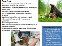 Fenris Vet - Cabinet veterinar
